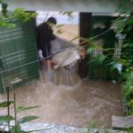 나는 오늘 <b>노아</b>의 방주를 보았다