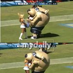 치어리더를 맛있게 <b>냠냠</b>...