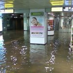 다들 잘 보내셨나요?  전 수해당하고(?) 주말엔 롯ㄷㅇ드 <b>놀러</b>