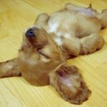 어머, 얘야...................