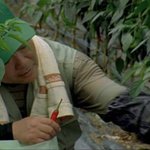 신나게 쿵짝쿵짝, 파머스밴드!