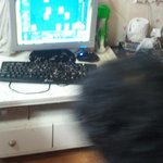 엄마때문에 크게 웃음 (사진有)