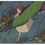 꼭미남 꼭<b>미녀</b> 되는판!!☆★