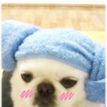 <b>찜질</b>굴욕담,,,,