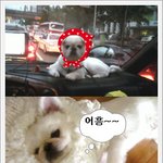인형인가????ㅋ