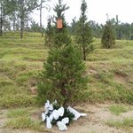 폭행치사 가해자가 <b>평상시</b> 처럼 학교생활하는 고통스런 현실.......