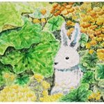 모나미 미술대회 올해에도 시작했으니 <b>참가</b>해보세욤