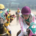 영화 속 숨막히는 <b>질주</b> 본능을 찾아라!!!