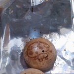 <b>칸쵸</b>에서 애벌레 나왔어요....