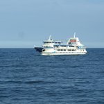 주문진관광유람선 <b>이사부</b>크루즈 소개