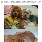 좀 짐승한테 그러지 말자