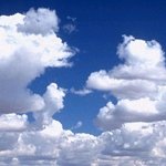 <b>우물</b>안의 개구리도 나쁘진 않다.