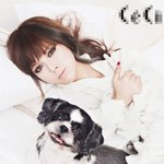 최근 강아지들과 화보찍은 '<b>포미닛</b>'