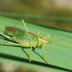 ■□■□ 제 <b>여치</b>ㄴ 얼굴펴ㅇ가 좀■□■□