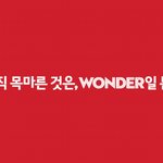 원더걸스 팬분들 원더걸스 한국 컴<b>백하나</b>요?