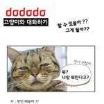 너 고양이랑 대화 할 수 있어 ?? <b>난</b> <b>해</b> !!