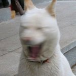 지하철에서 만난 그 남자