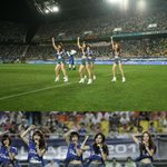 핫팬츠가 너무 잘어울리는 카라