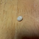 전 250만원짜리 돈가스를 먹었습니다..