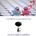 좋은글들