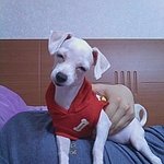 이것은 콩!!!