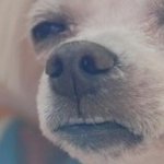 길거리에 보이는 커플들