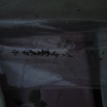 <b>쌀</b>에서 나온건데..