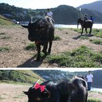 이번주 남해여행 어떠세요~