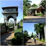 플로라이다(flo-rida) 공연보고 같이 사진도 찍었어요!! 사진有