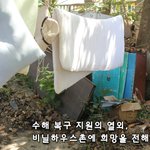 <b>수해</b>복구 지원의 열외, 비닐하우스촌에 희망을 전해주세요.