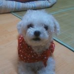 ★<b>전주</b>분들봐주세요제발★