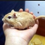 지금 피시방현재상황입니다 도망가고싶어요.. 2