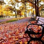 [피부관리] 피부관리에 <b>탁월</b>한 선택은 소선보크림.