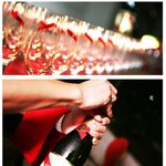 영상으로 보는 멈 샴페인 파티 생생한 후기 +ㅁ+