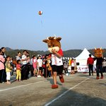 횡성<b>한우</b>축제