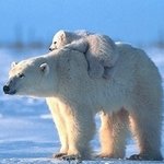 안녕히<b>주무</b>세염
