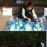 노랑머리 홍대배<b>추남</b>