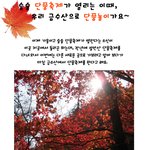 가을 방방곡곡 <b>단풍축제</b> 다니며 안드로보이와 함께 트위터이벤트 하자...