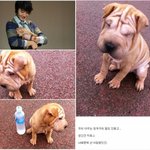 정일우가 팬들로부터 선물 받은 동생