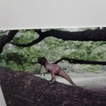 다른 남자친구와는 차원이다른 내 남자친구