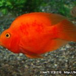 부산 아쿠아리움에 다녀왔어요^^