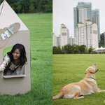 한효주, 동이 끝나면 뭐하나 했더니