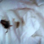 <b>배달</b>음식 조심하세요 (나름 혐오사진 有)