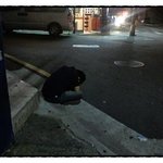 (노상<b>취침</b> 25) * 아저씨! 감기 걸려욧!! *