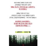 고난이도 충격! <b>여운</b>의 압박! 센세이션의 대표주자?
