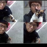 길냥이들이 무슨 죄인가요(사진 有)