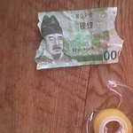 우리강아지의 미친<b>예술</b>세계