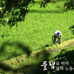 워킹화, 그리고 지리산 둘레길을가다 !