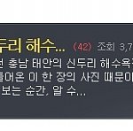 서른 일곱 아줌마 혼자 떠난 가을바다_신두리 해수욕장