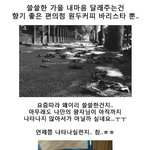 가을 내마음 달래주는건 향기 좋은 편의점 <b>원두</b>커피 바리스타 뿐..